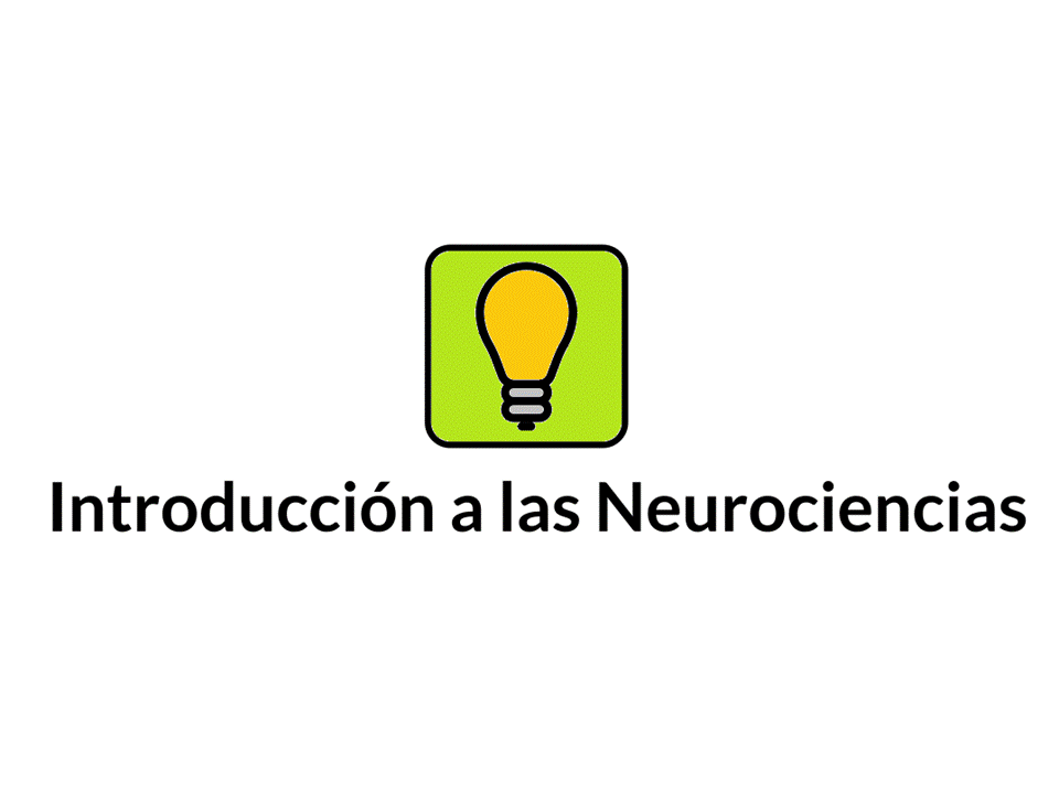 Introduccion a la neurociencia